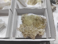 Mineral 14 - MineralExpo 2026